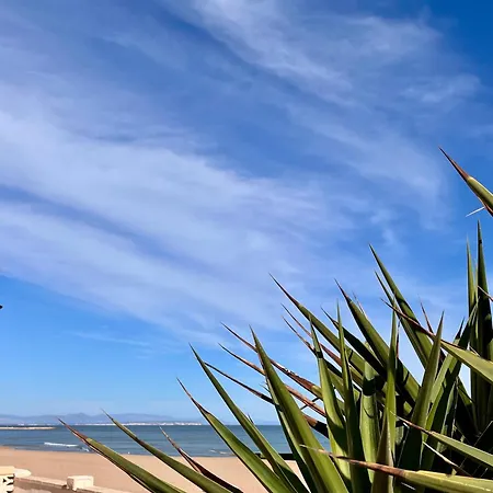 Flores Playa * לה מאטה